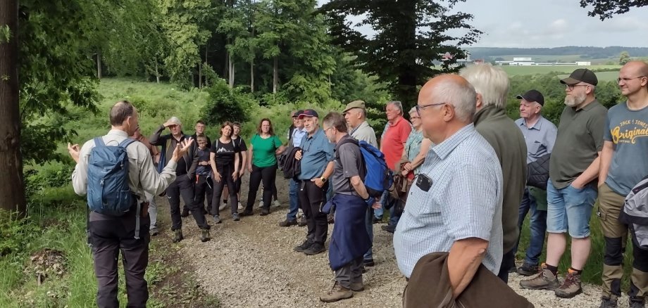 Waldbegang im Wald