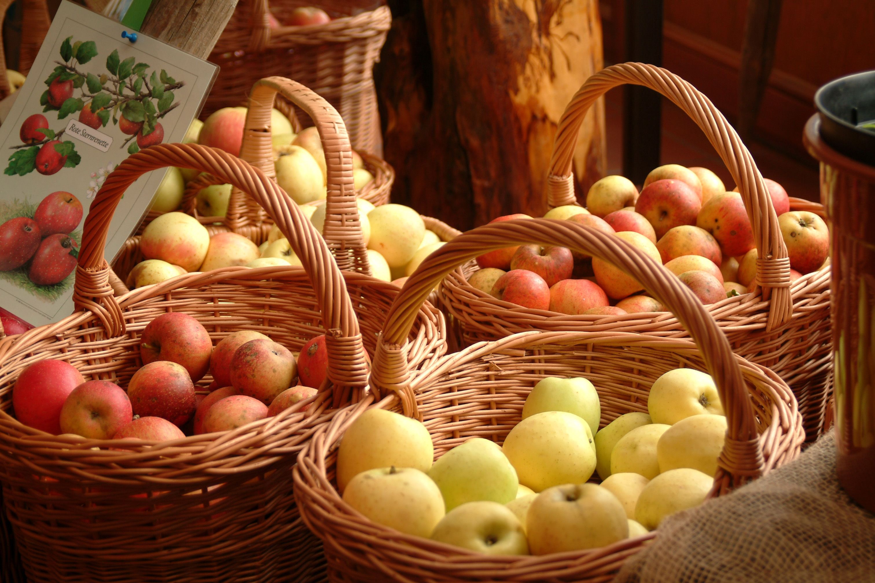 27. Hessische Pomologentage