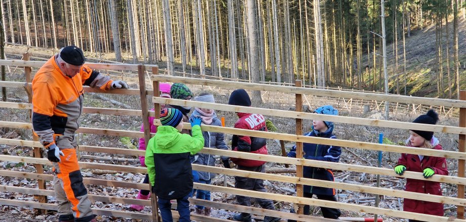 Waldaktion Elbetalschule Eicheln sammeln und pflanzen