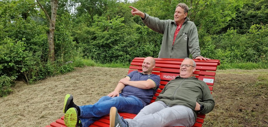 Waldsofa Weidelsberg EAM
