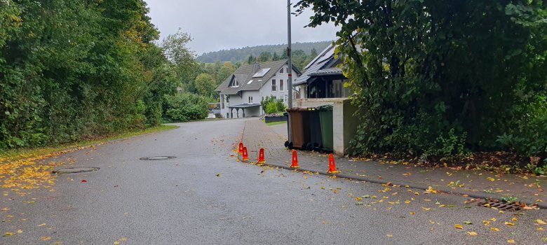 Bischofsmützen Straße Elbener Pfad