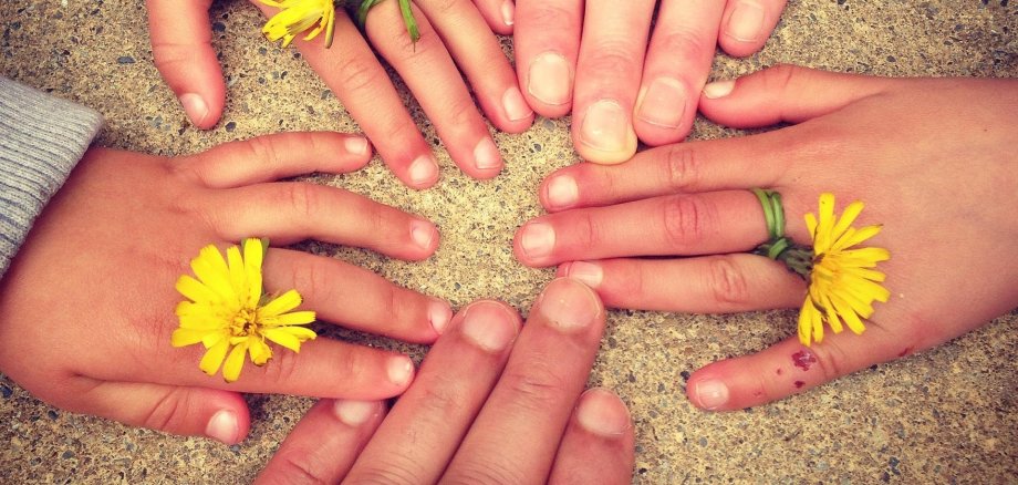 Hände Löwenzahn Blumen Finger