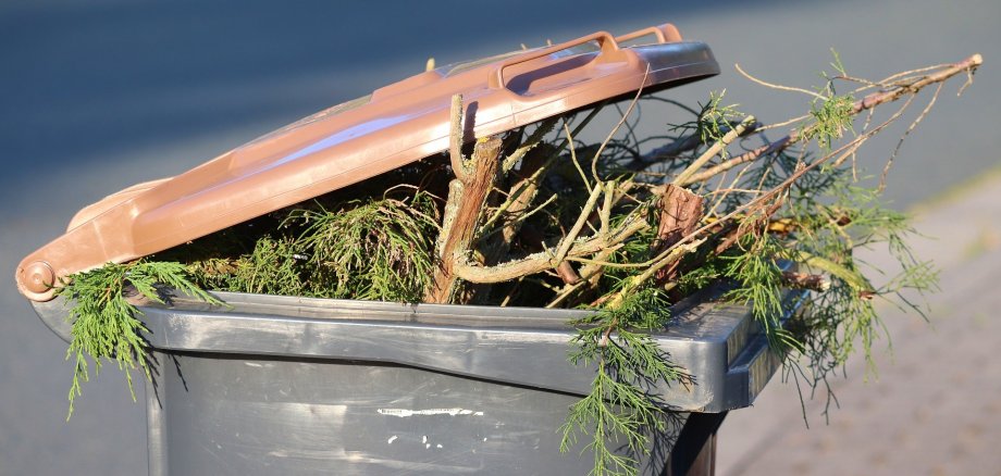 Mülltonne braun Bio