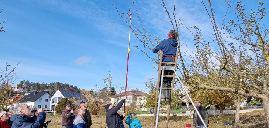 Teilnehmern eines Seminars für Obstschnittkurs wird die Schnitttechnik gezeigt.  